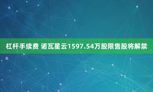 杠杆手续费 诺瓦星云1597.54万股限售股将解禁