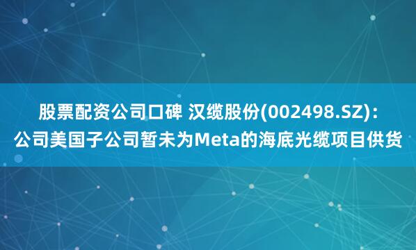 股票配资公司口碑 汉缆股份(002498.SZ)：公司美国子公司暂未为Meta的海底光缆项目供货