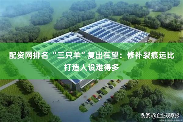 配资网排名 “三只羊”复出在望：修补裂痕远比打造人设难得多