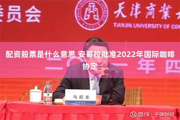配资股票是什么意思 安哥拉批准2022年国际咖啡协定