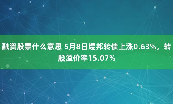 融资股票什么意思 5月8日煜邦转债上涨0.63%，转股溢价率15.07%