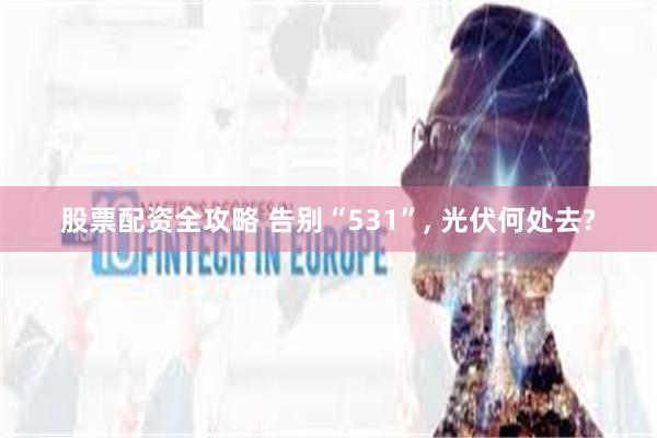 股票配资全攻略 告别“531”, 光伏何处去?