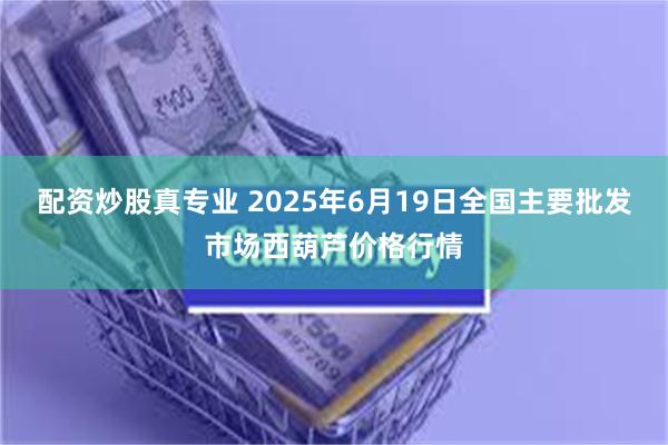 配资炒股真专业 2025年6月19日全国主要批发市场西葫芦价格行情