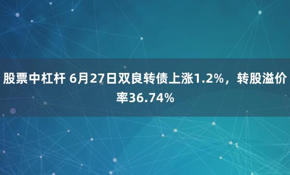 股票中杠杆 6月27日双良转债上涨1.2%，转股溢价率36.74%