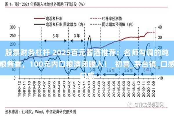 股票财务杠杆 2025百元酱酒推荐：名师勾调的纯粮酱香，100元内口粮酒闭眼入！_初喜_茅台镇_口感