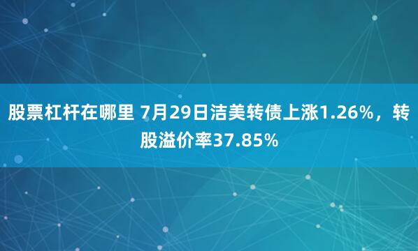 股票杠杆在哪里 7月29日洁美转债上涨1.26%，转股溢价率37.85%