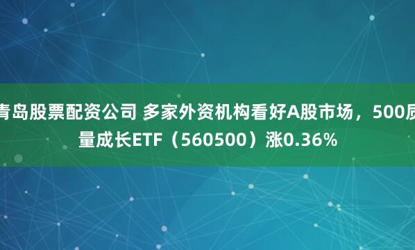 青岛股票配资公司 多家外资机构看好A股市场，500质量成长ETF（560500）涨0.36%
