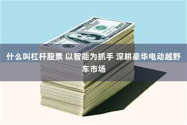 什么叫杠杆股票 以智能为抓手 深耕豪华电动越野车市场