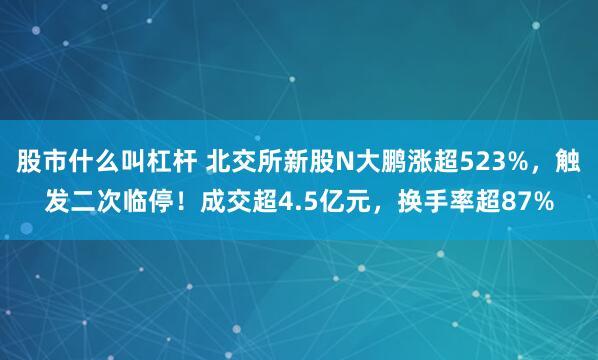 股市什么叫杠杆 北交所新股N大鹏涨超523%，触发二次临停！成交超4.5亿元，换手率超87%