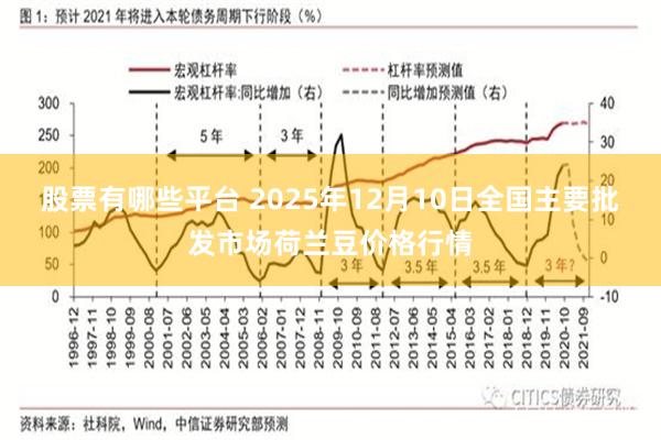 股票有哪些平台 2025年12月10日全国主要批发市场荷兰豆价格行情